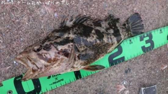 �����Υ���Х�