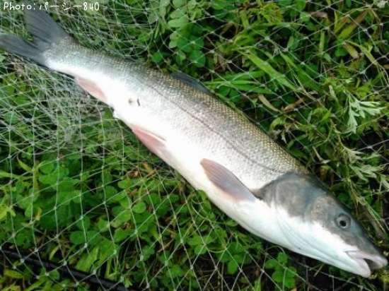 �ޥ륿������