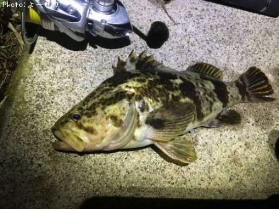 �����Υ���Х�