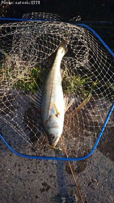 �����Х�