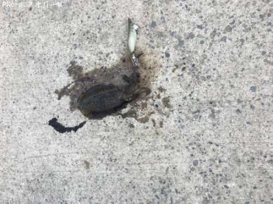 �����ꥤ��