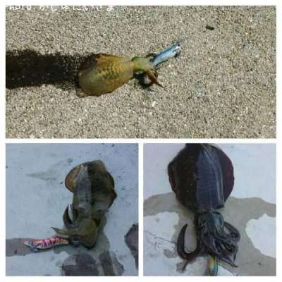 �����ꥤ��