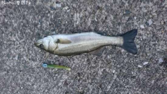 �����Х�