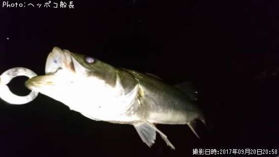 �����Х�