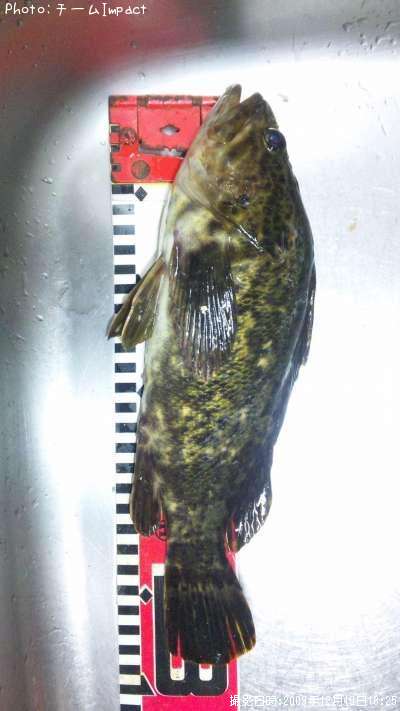 �����Υ���Х�