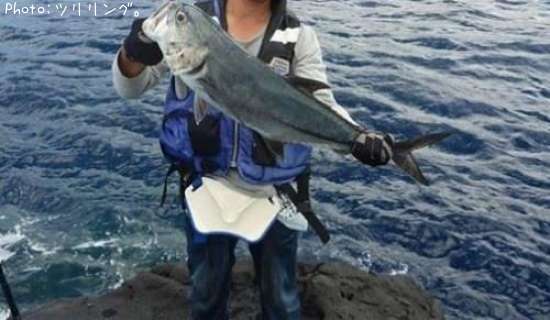 ���󥬥ᥢ��