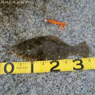 �ҥ��ʤ�����