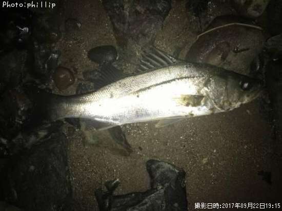 �����Х�