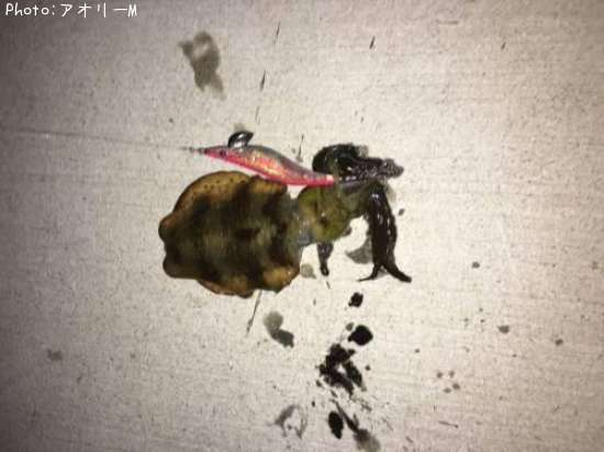 �����ꥤ��