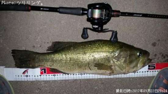 �֥�å��Х�