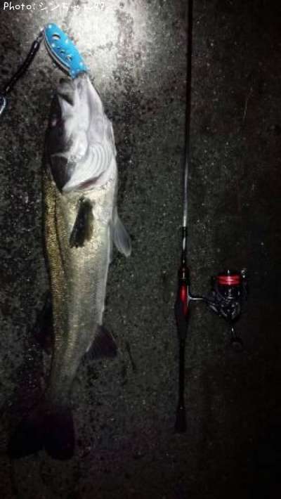 �����Х�