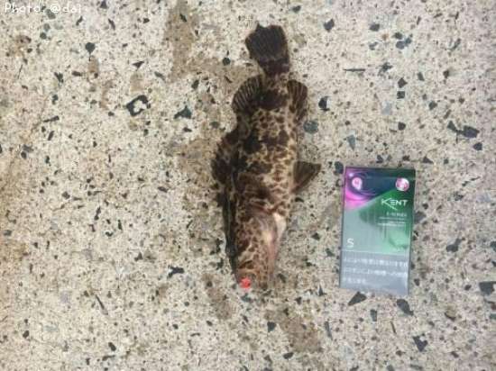 �����Υ���Х�