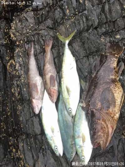 �����ʥ�