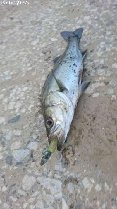 �����Х�