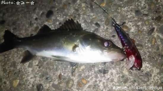 �����Х�