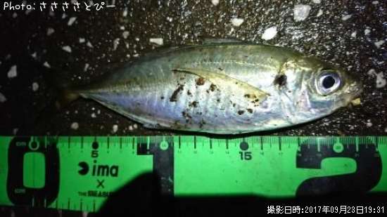 ��������Х�������Х����᥸��