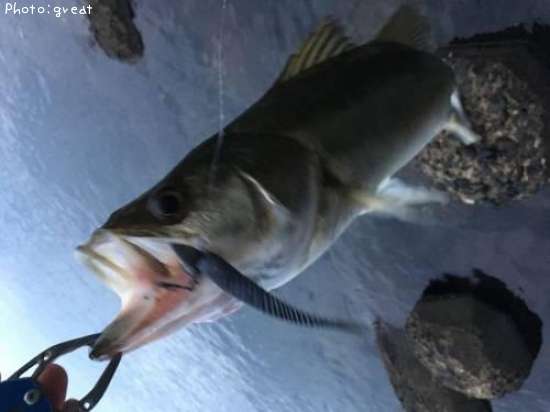 �����Х�