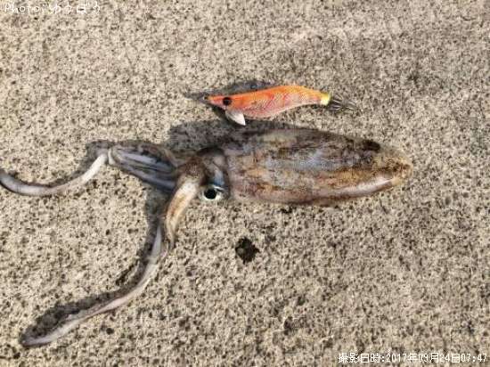 �����ꥤ��