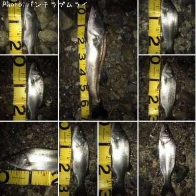 �����Х�