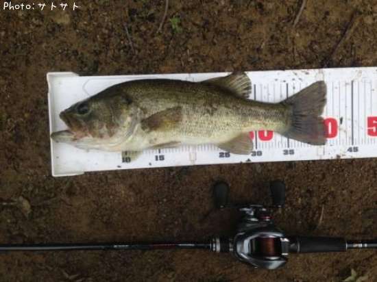 �֥�å��Х�