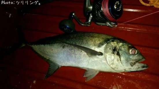 ���󥬥ᥢ��