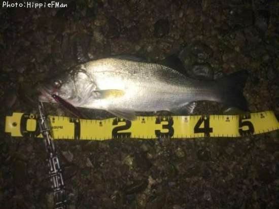 �ҥ饹����