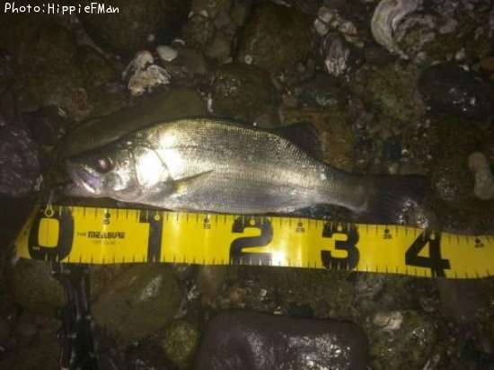 �ҥ饹����