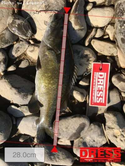 �֥�å��Х�