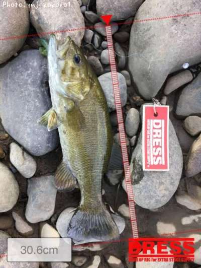 �֥�å��Х�