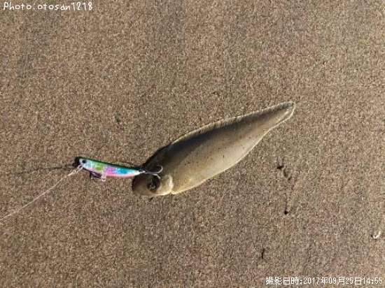 �����ӥ��