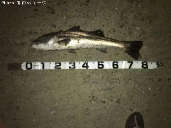 �����Х�