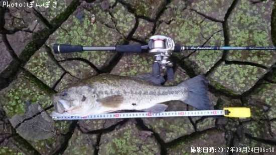 �֥�å��Х�