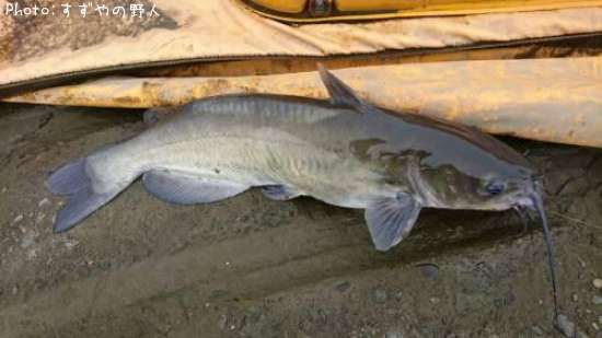 ����åȥե��å���