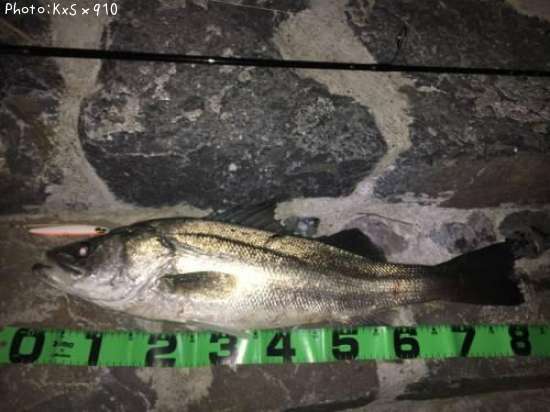 �����Х�