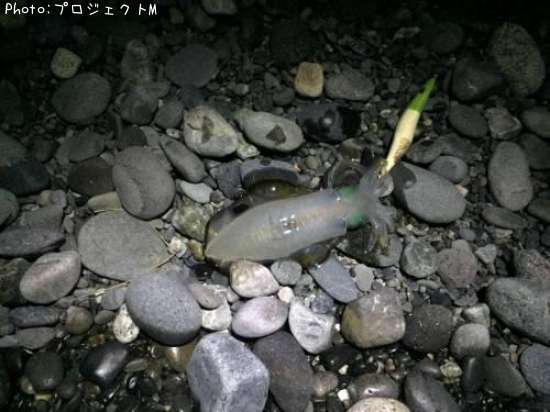 �����ꥤ��