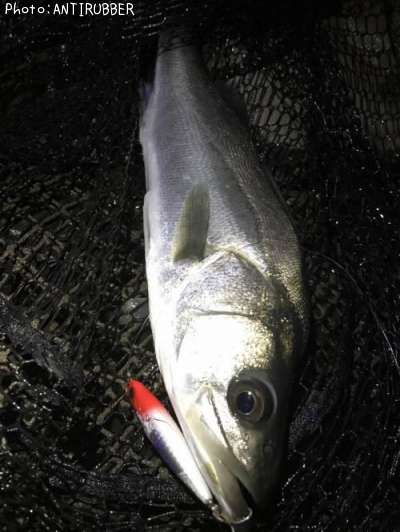 �����Х�