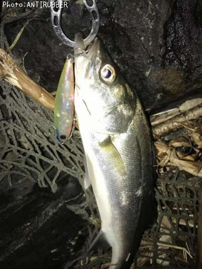 �����Х�