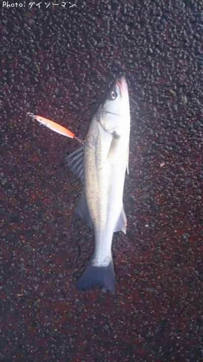 �����Х�