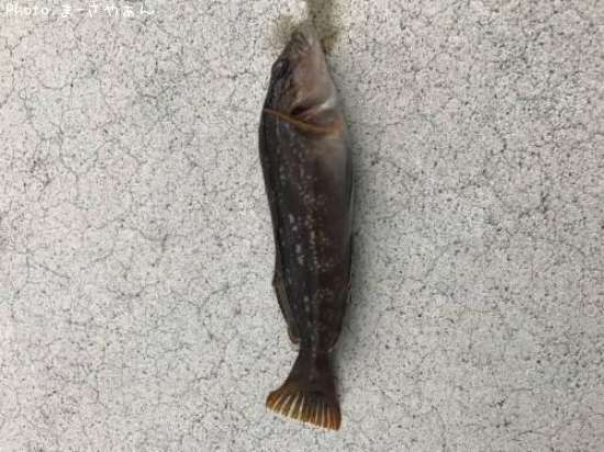 �����ʥ�