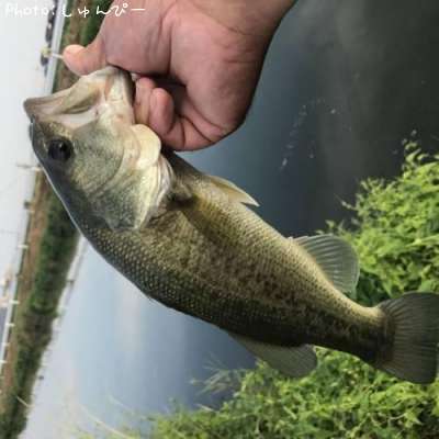 �֥�å��Х�