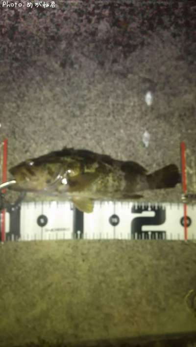 �����Υ���Х�