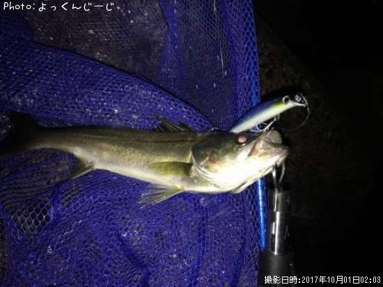 �����Х�