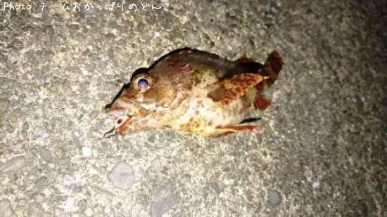 �������Х�