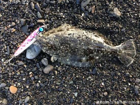 �ҥ��ʥ�����