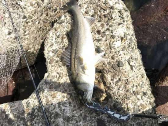 �����Х�