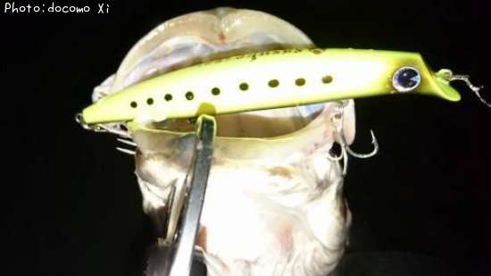 �����Х�