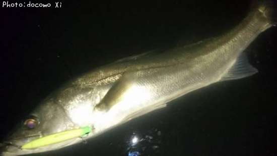 �����Х�