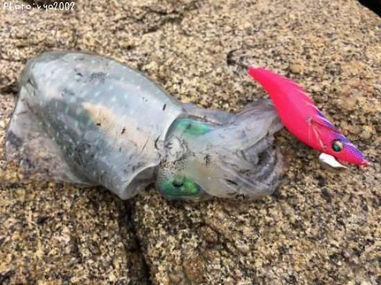 �����ꥤ��