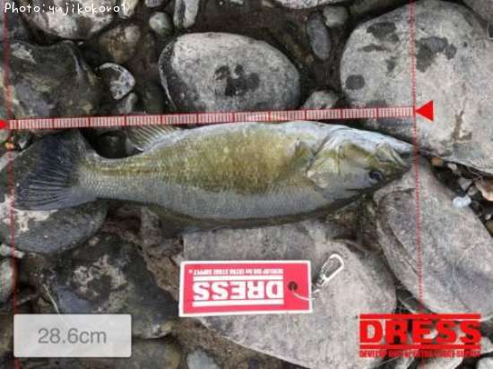 �֥�å��Х�