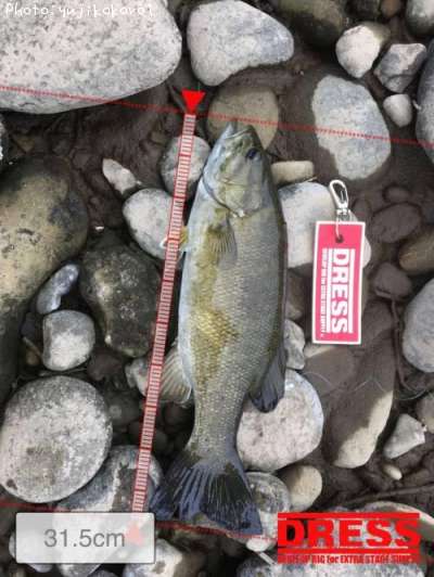 �֥�å��Х�